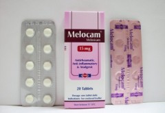 Melocam 15gm