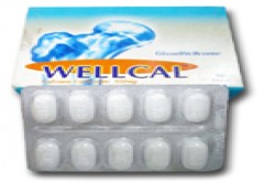 Wellcal 500mg