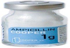 Ampicillin Misr 1000mg