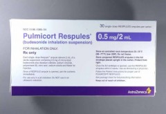 Pulmicort 0.5mg