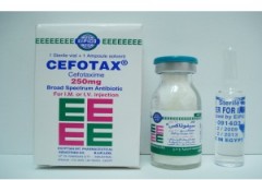 Cefotax EIPICO 250mg