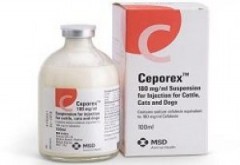 Ceporex 500mg