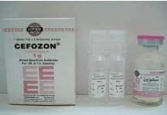 Cefozon 1gm