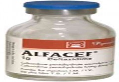 Alfacef 500mg