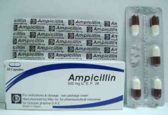 Ampicillin Misr 250mg